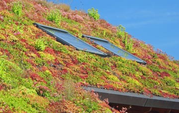Peasedown St John living roof systems